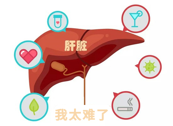 圖片 圖片