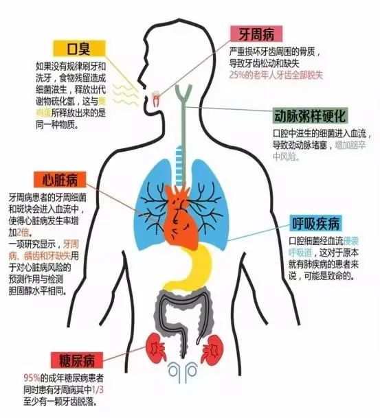圖片 圖片