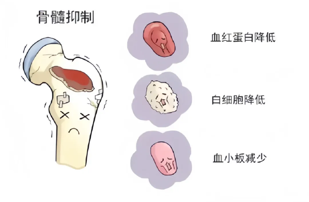 圖片 圖片